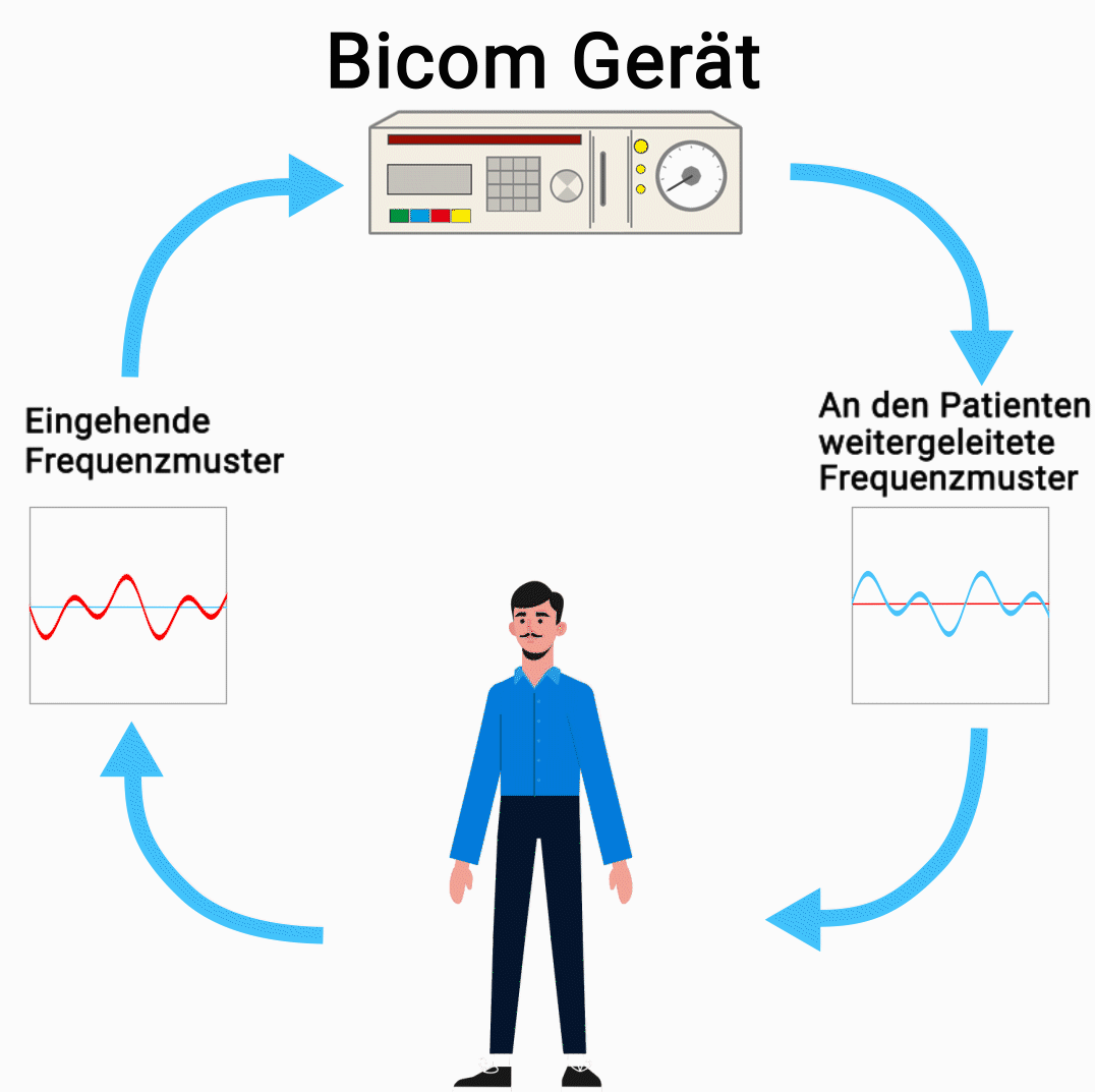 Wie funktioniert die Bioresonanz-Therapie, in einer Grafik erklärt